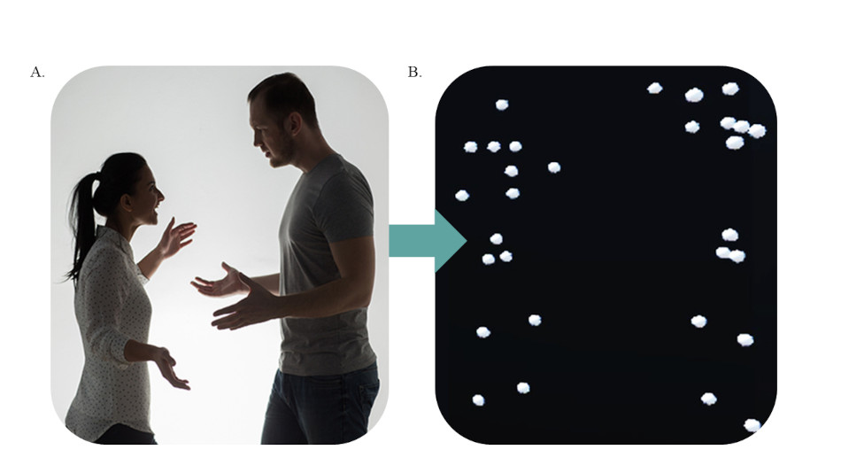 Figure 1: Display of emotional interactions as point-lights