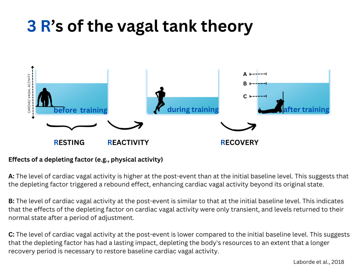 Image 4a: 3 R's of the vagal tank theory - Effects of a depleting factor