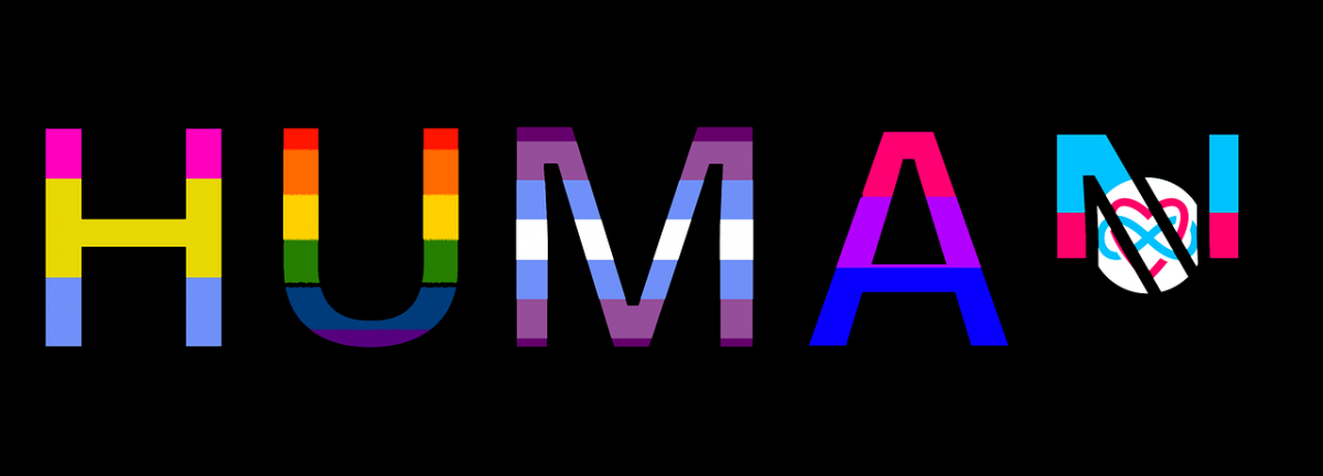 Fig. 2. Human beyond norms