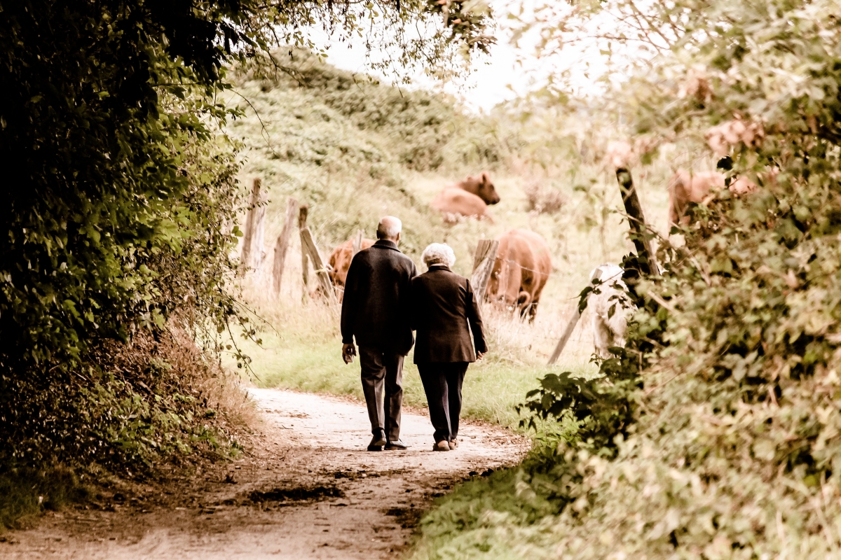Picture 5. Walking forward together – even when the path isn’t straight