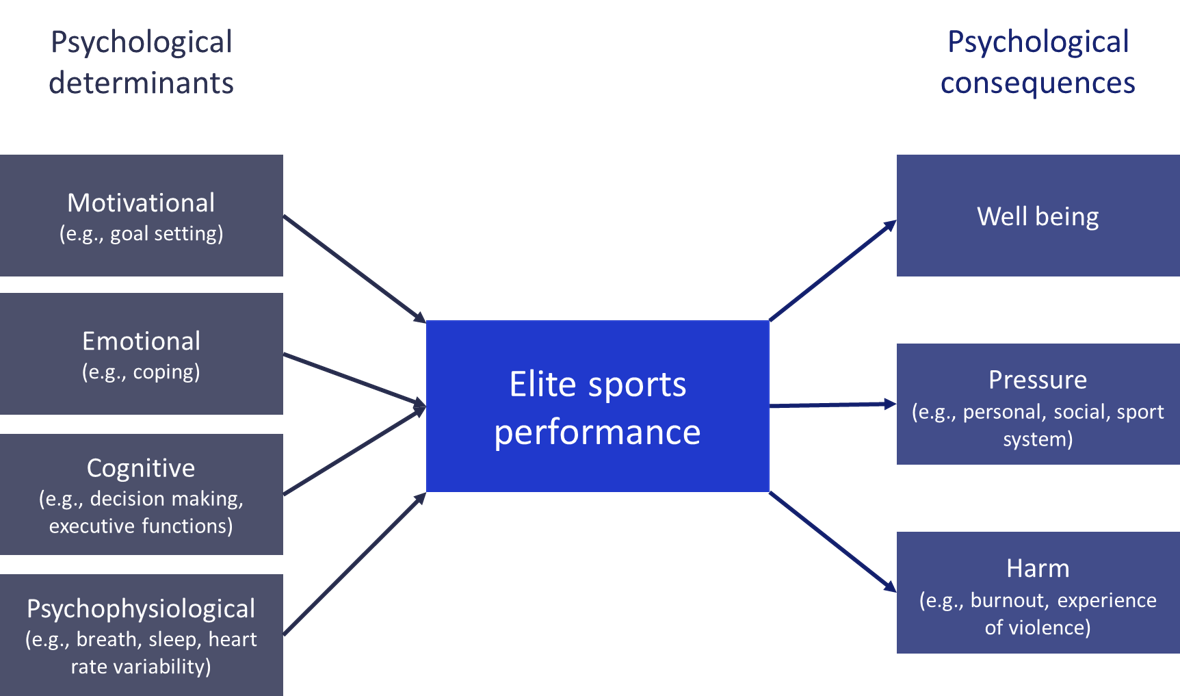 Psychological determinants and consequences of elite sports performance. Psychological determinants and consequences of elite sports performance.
